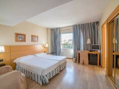 Zimmerbild 11