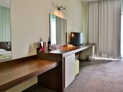 Zimmerbild 8