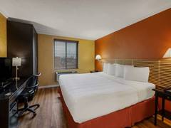 Zimmerbild 13