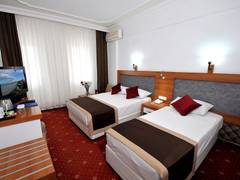 Zimmerbild 8