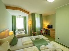 Zimmerbild 7