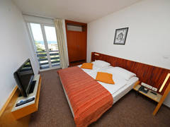 Zimmerbild 7