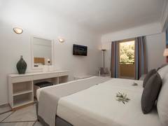 Zimmerbild 6