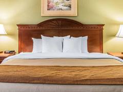 Zimmerbild 21
