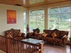 Zimmerbild 13