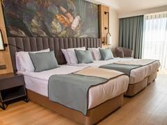 Zimmerbild 23