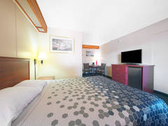 Zimmerbild 22