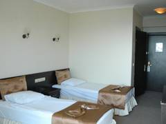Zimmerbild 8