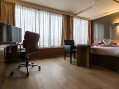 Zimmerbild 10
