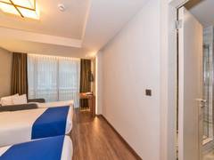 Zimmerbild 11