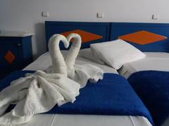 Zimmerbild 13
