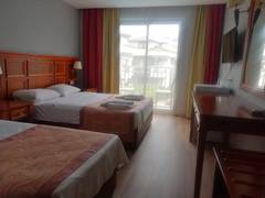 Zimmerbild 6