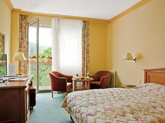 Zimmerbild 10