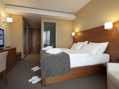 Zimmerbild 11