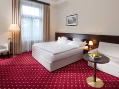 Zimmerbild 6