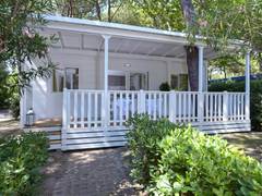 Zimmerbild 32