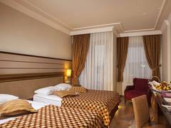 Zimmerbild 9