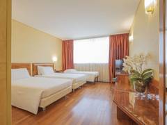 Zimmerbild 6