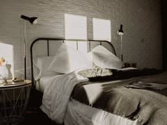 Zimmerbild 8