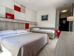 Zimmerbild 6