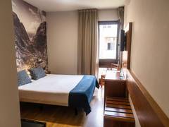 Zimmerbild 9