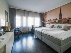 Zimmerbild 29