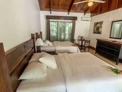 Zimmerbild 8