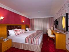 Zimmerbild 45