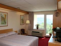 Zimmerbild 11