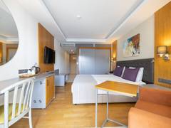 Zimmerbild 10