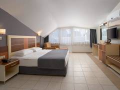 Zimmerbild 12