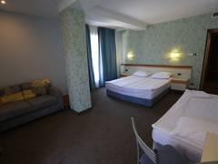 Zimmerbild 19