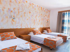 Zimmerbild 6