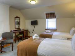 Zimmerbild 12