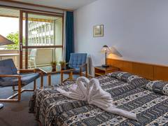 Zimmerbild 17