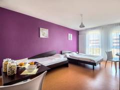 Zimmerbild 8