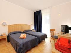 Zimmerbild 11