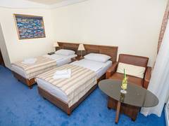 Zimmerbild 6