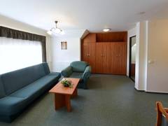 Zimmerbild 8