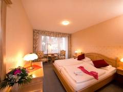 Zimmerbild 6