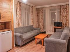Zimmerbild 9