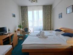 Zimmerbild 8