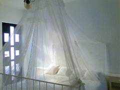 Zimmerbild 18