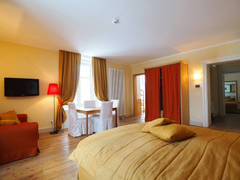 Zimmerbild 8