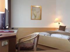 Zimmerbild 15