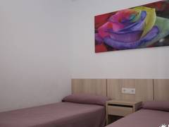 Zimmerbild 5