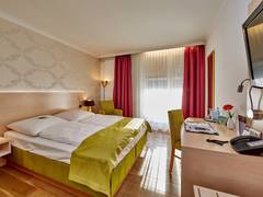 Zimmerbild 9