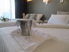 Zimmerbild 2