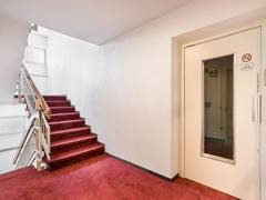 Zimmerbild 10