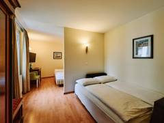 Zimmerbild 5